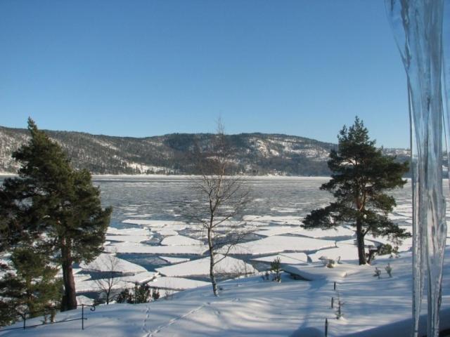 Villa Rorvik Svelvik Exterior foto